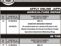 PPSC 74 JOBS 2019 Manager, Assistant, Educator, Staff Nurse etc., BS-15 to 18 PPSC JOBS 2019 APPLY HERE